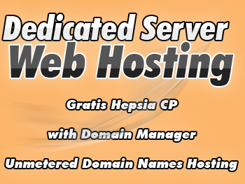Economical dedicated web hosting provider